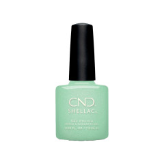 * Mint & Meditation 7.3ml SHELLAC