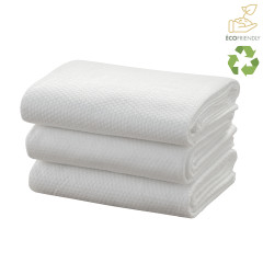 Serviettes De Bain x10 Viscose Naturel XLJ0200